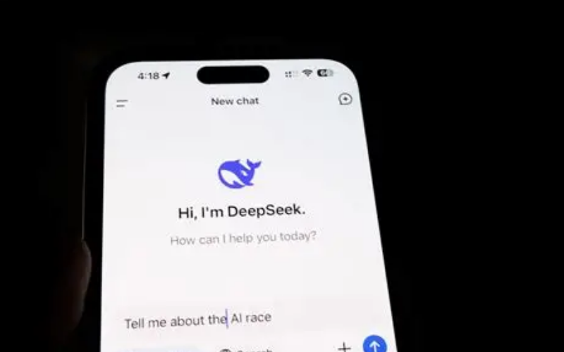 DeepSeek
